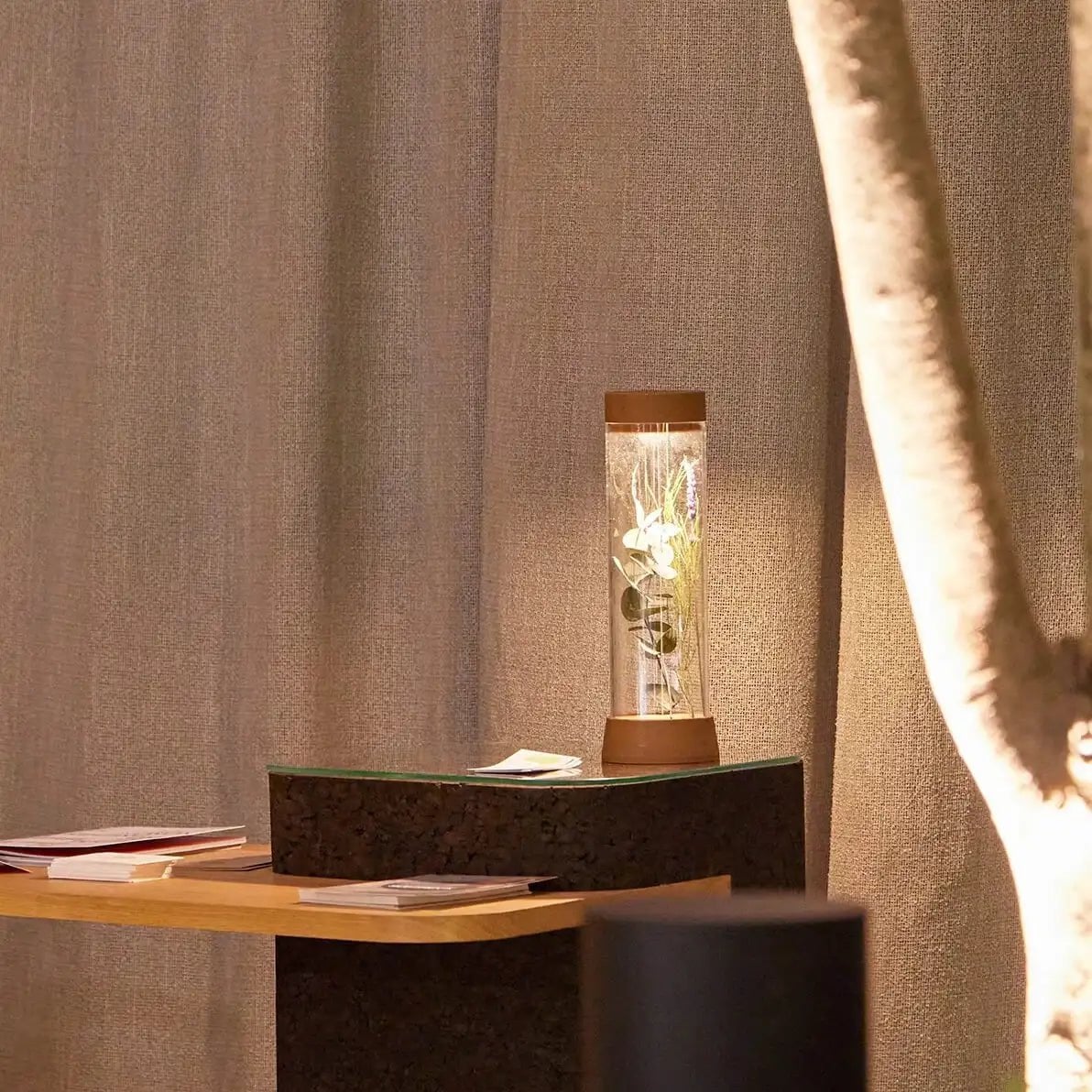 EOS rechargeable table lamp, sustainable LED lighting