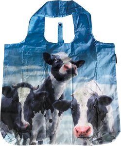 Eco shopper - Dinnertime