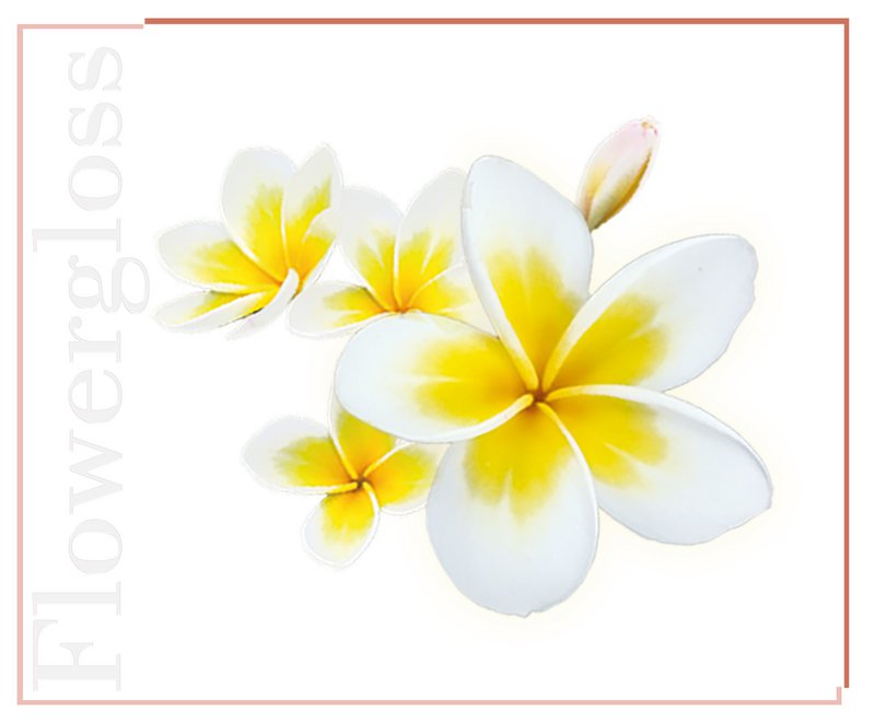 Flowergloss FG10 Frangipani | made from fruit and vegetables 💚 Vegan without titanium dioxide “NEW”