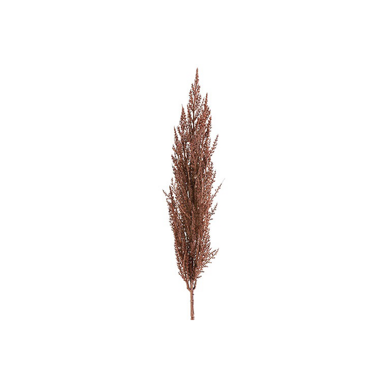 Kunstgras/pluim Cortaderia (Pampas)- L5B8H93CM