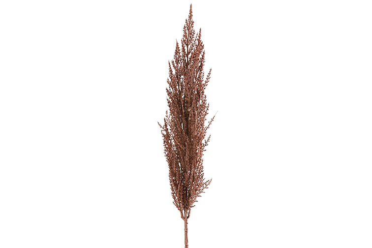 Kunstgras/pluim Cortaderia (Pampas)- L5B8H93CM