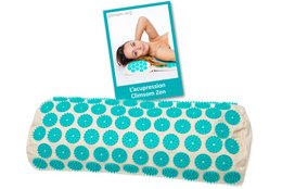 Acupressure and thermotherapy cushion with organic fillings, available in blue, mauve, and white colors with either spelt or millet fillings.