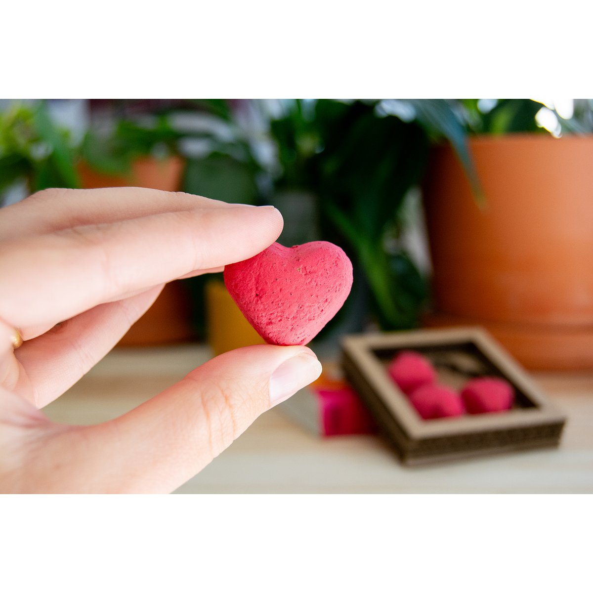 Bombas de semillas plantables - Suerte del amor