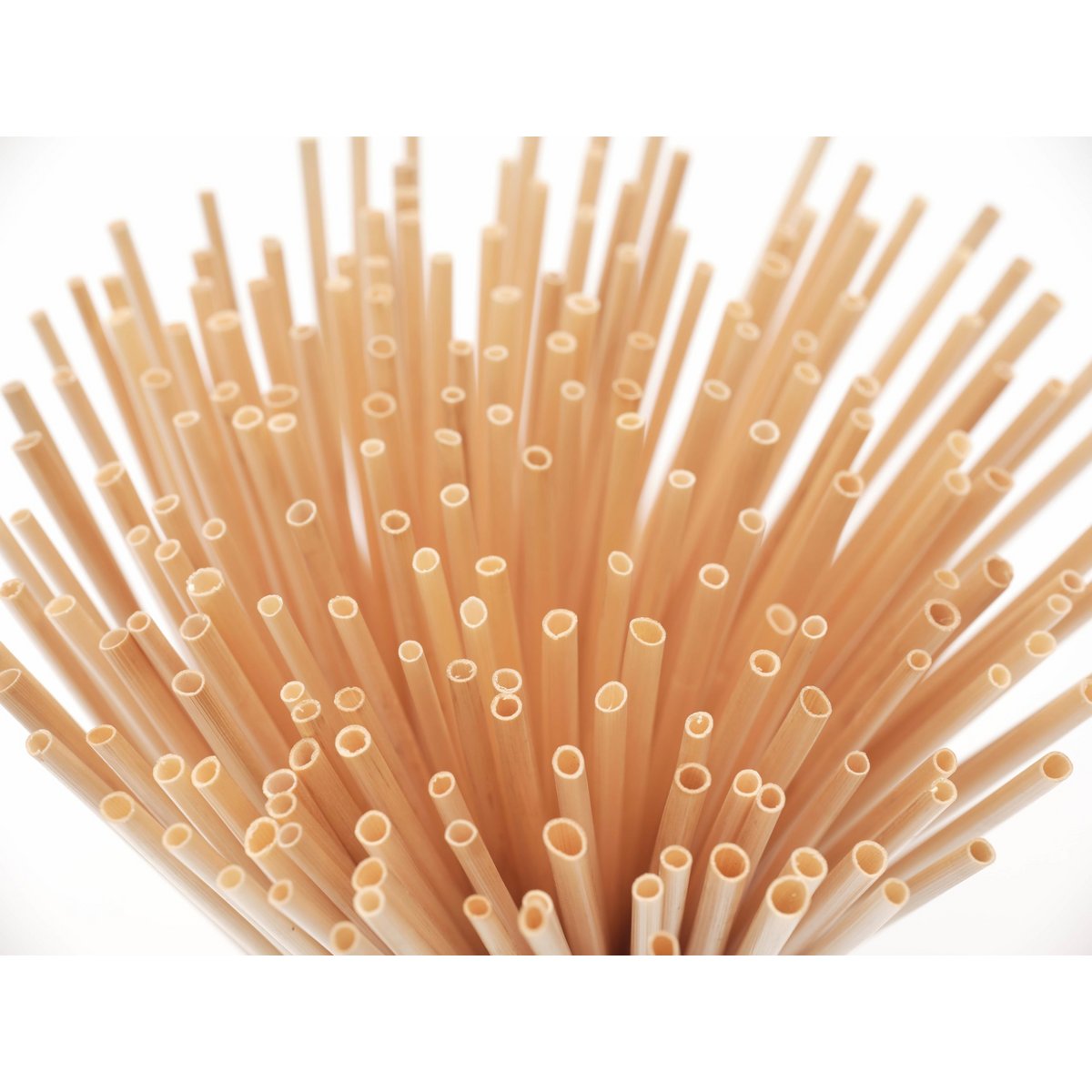 Tarwestro 100 stuks 15 cm