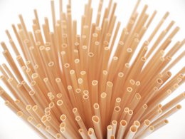 Wheat Straws 100 pieces 15 cm