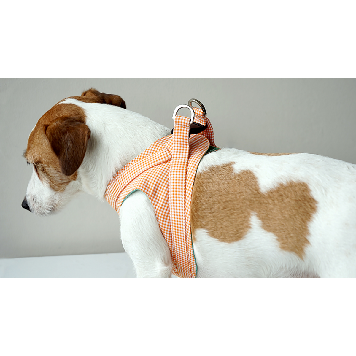 %100 Cotton Orange Tile Patterned Plain Collar Harness