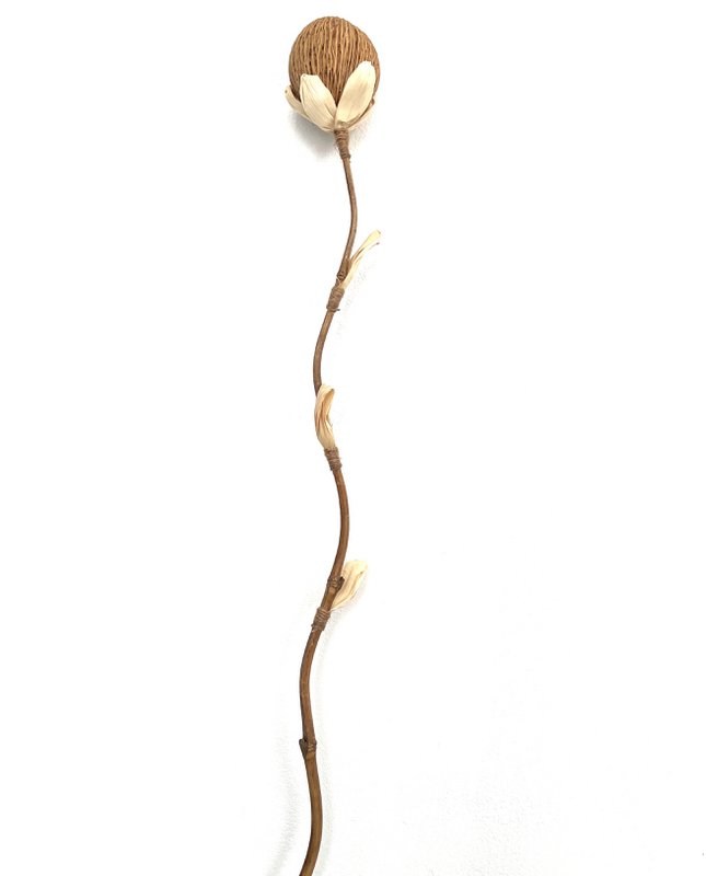 Coco Flower