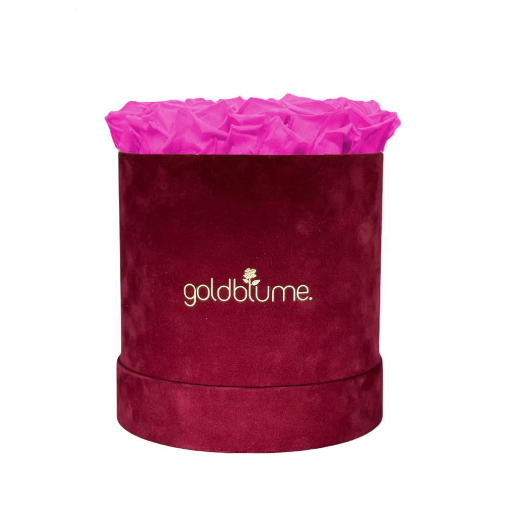 Collection Velours Bordeaux
