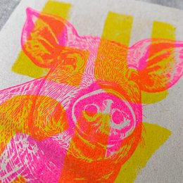 Postkort / Gris / Held / Risografi