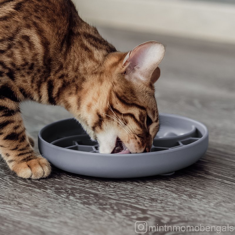 ne&no® anti-sling voerbak voor honden en katten