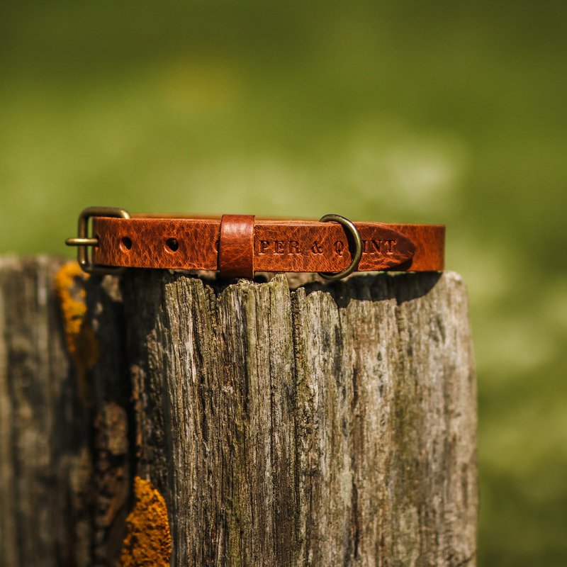 No Fuss Collar Dog Leather Brown