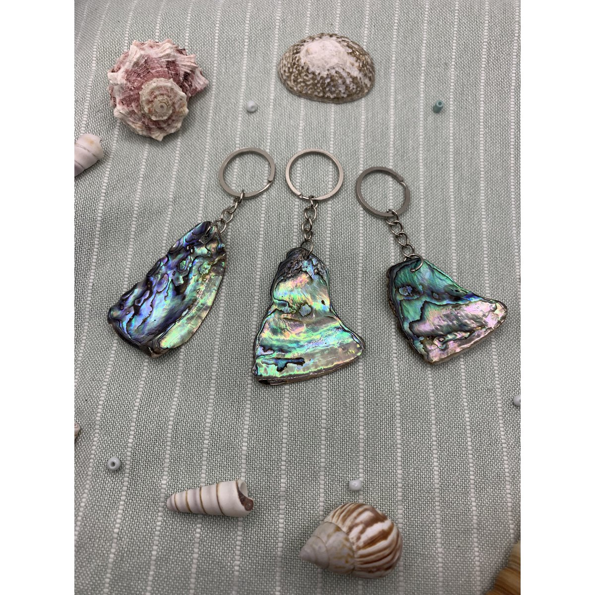 Abalone Keychain: Unique Abalone shell Keyring Accessory for Ocean Lovers