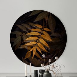 A round wall decor featuring golden brown leaves against a dark background. The leaves have a premium dibond quality and are available in three sizes: 40 cm, 60 cm, and 80 cm in diameter.