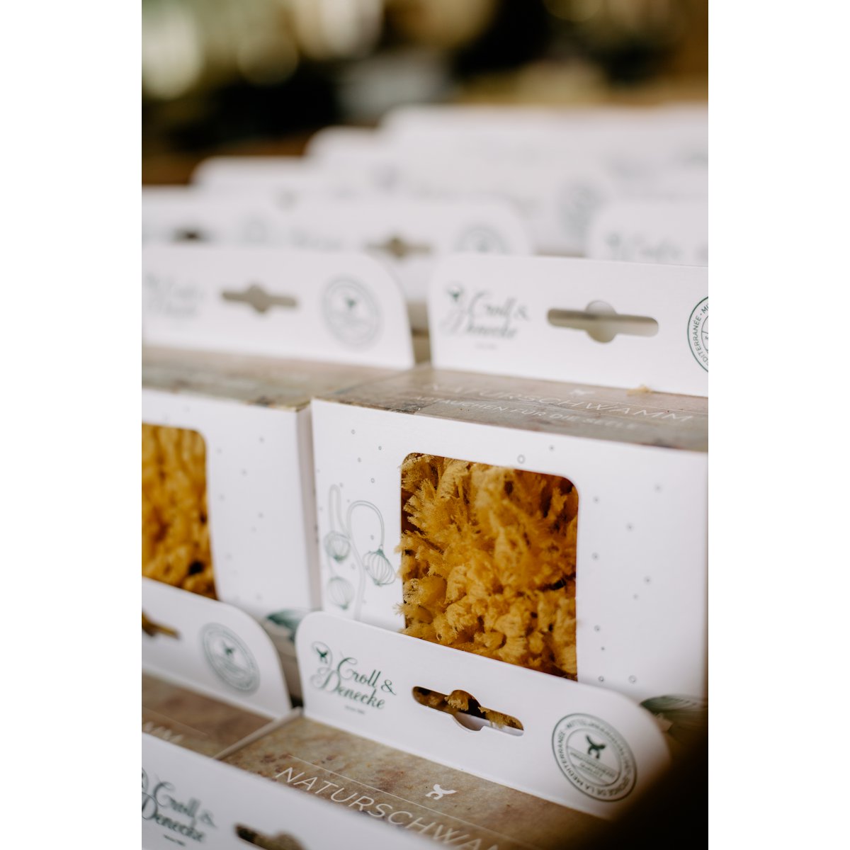 Natural sea sponge in eco gift box, large