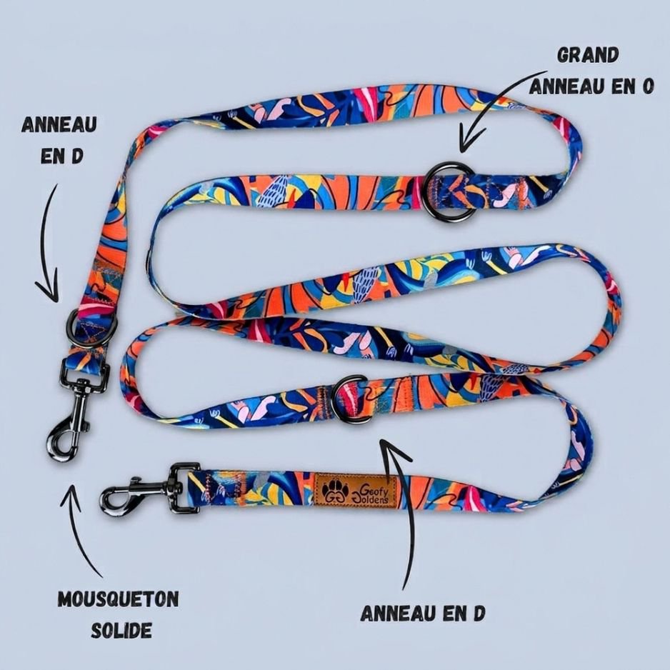 Laisse Lagon multiposition 250cm