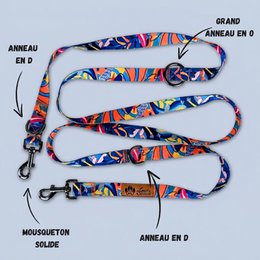 Laisse Lagon multiposition 250cm