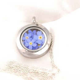 Vergeet-mij-niet bloemenmedaillon - glazen medaillon met echte bloemen 925 sterling zilveren ketting - K925-134