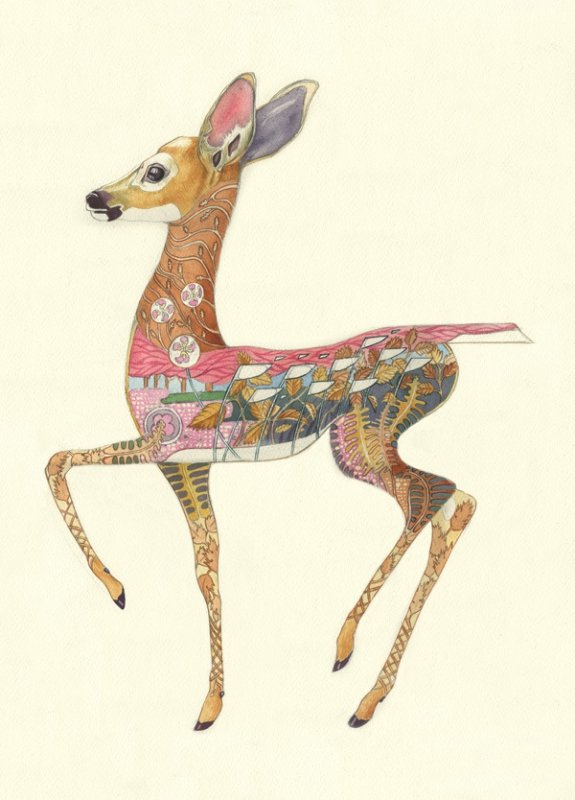 E019 - fawn