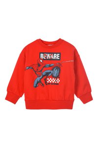 Lot von 12 Einheiten | Spiderman-Sweatshirt für Kinder | Offiziell lizenzierte Produkte | SUN CITY-Gruppe