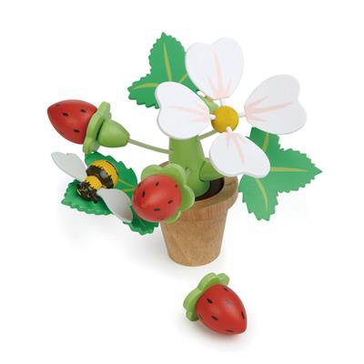 Pot de fleurs avec des fraises