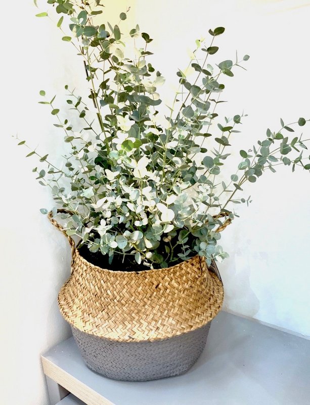 Belly Basket groß, 35cm, dunkelgrau