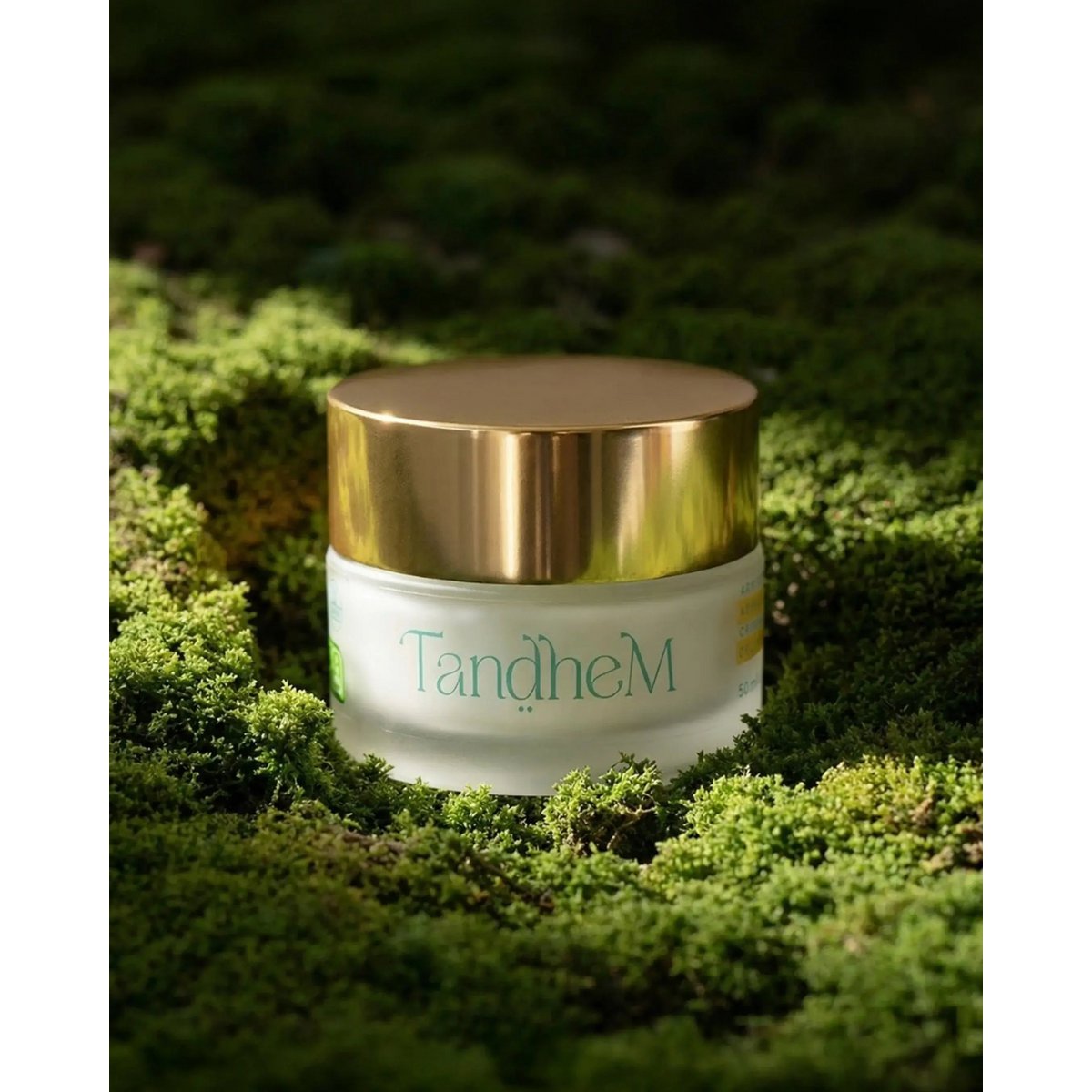 Crème visage avancée (50 ml)