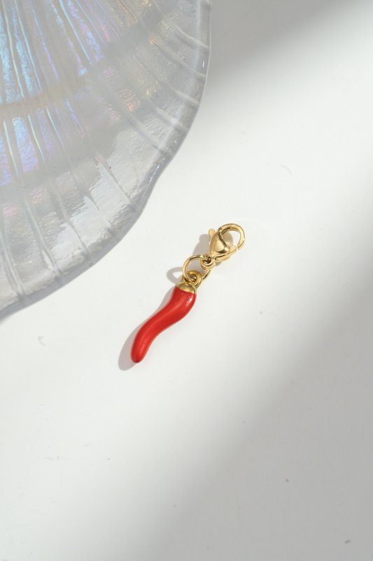 Poment hanger - trendy en gedurfd roestvrij staal