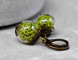 Orecchini di vero muschio - Orecchini di piante di muschio verde islandese - VINOHR-17