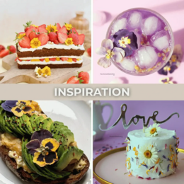 Special flowers - edible dried flowers | B2B