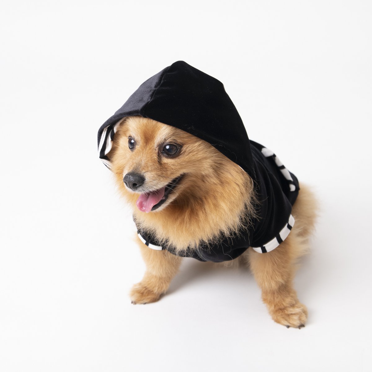 Hooded sweatshirt Pepa stripes