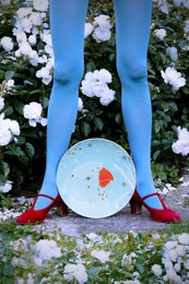 Dinner plates with birds