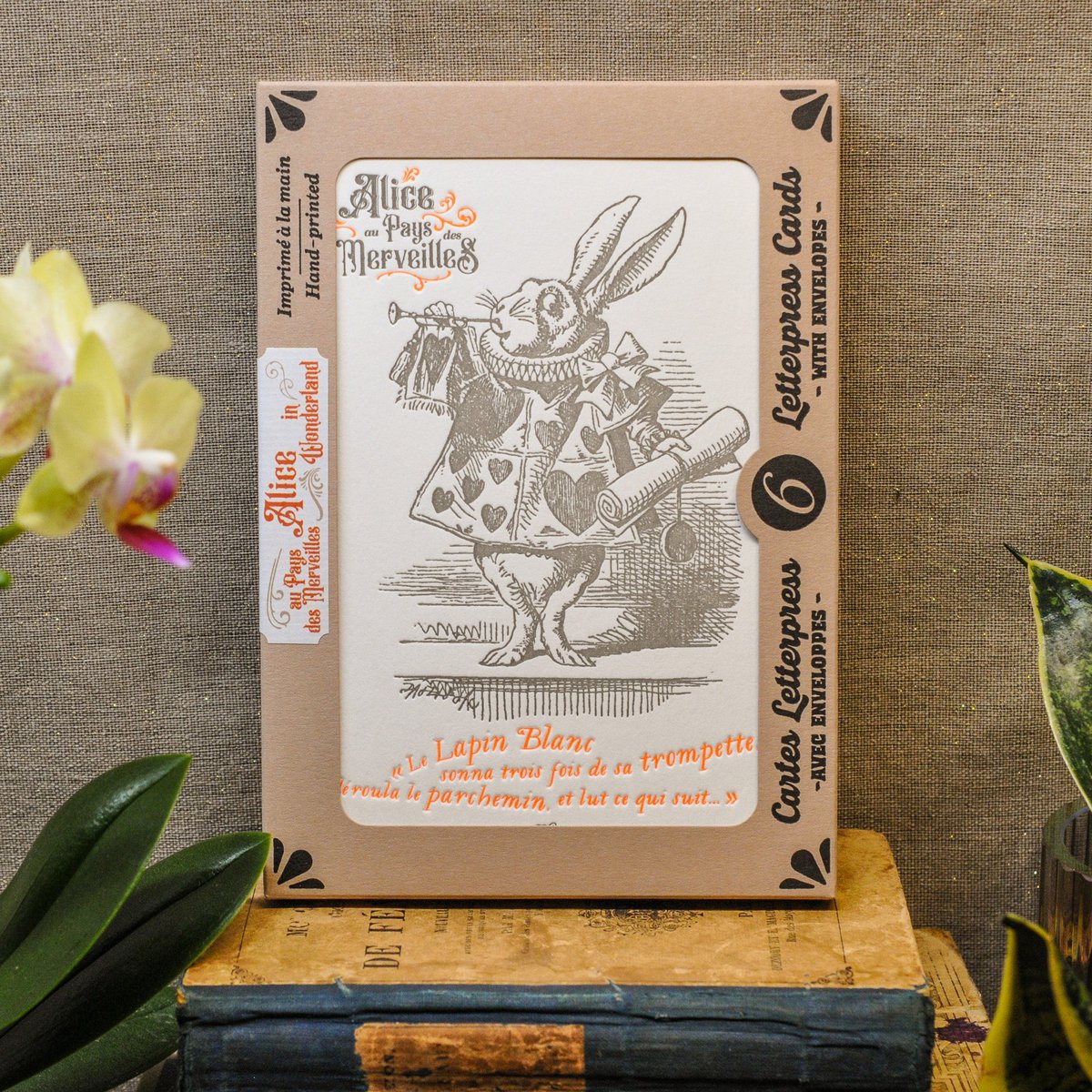 Box of 6 Alice in Wonderland Letterpress Cards (with envelopes)