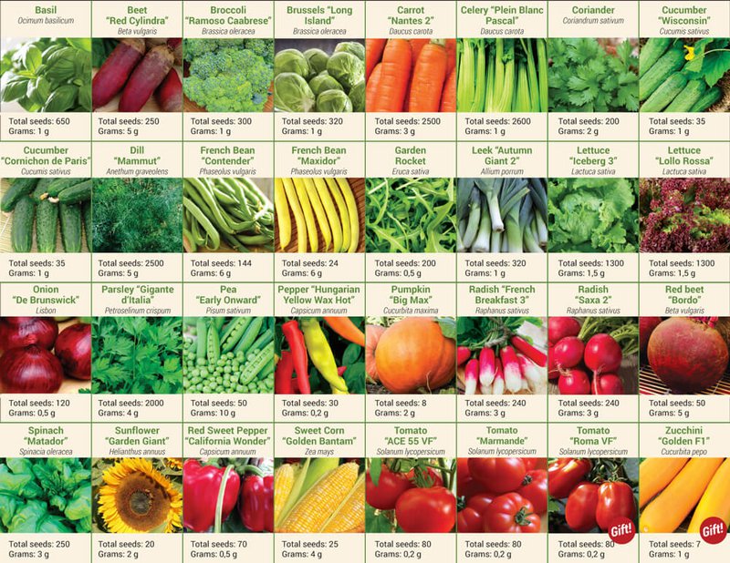 Dyrk dit eget Grand Seed Kit