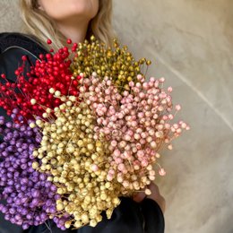 35 stelen Gedroogd Linnen Goud