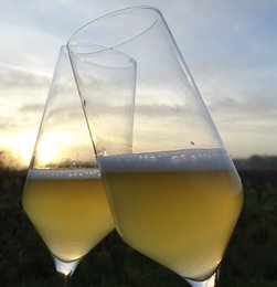 Ingefærøl Bio 330ml