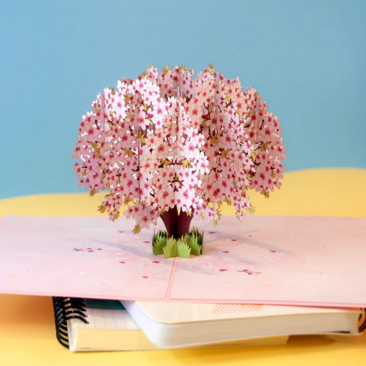 Kirsebærblomster træpop-up-kort