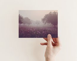 Postkarte Morgenstimmung (PK_054)