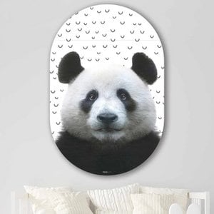 Muurovaal – Lustige Panda-Vögel – Aluminium