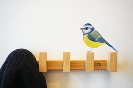 Wall sticker blue tit