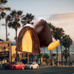 Bio-Dattel Pralinen: Salted Peanut