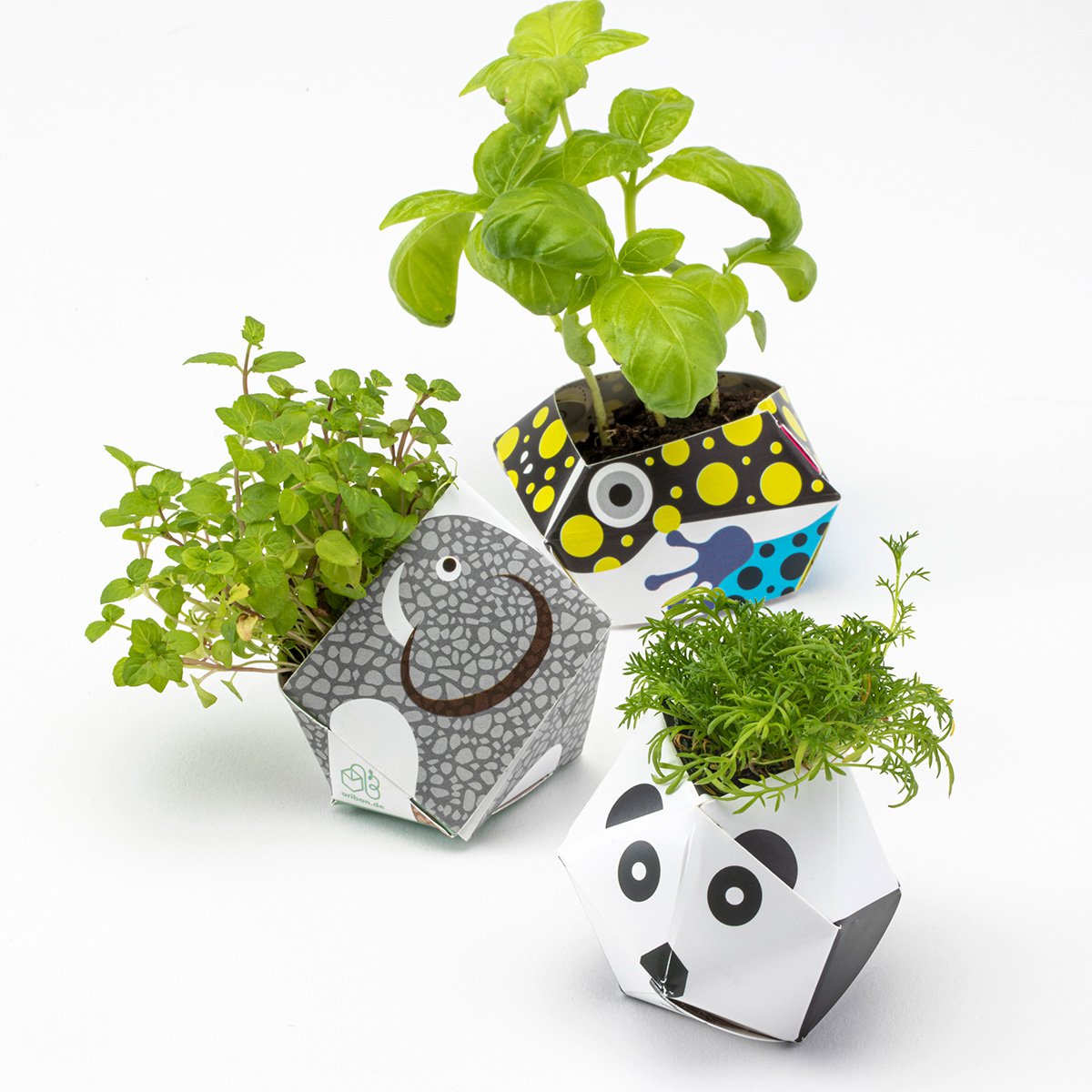 Kit Urban Jungle - Colección animales de la selva tropical