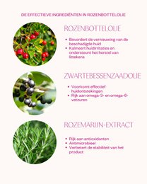 Rozenbottelolie - Intensive Treatment Oil