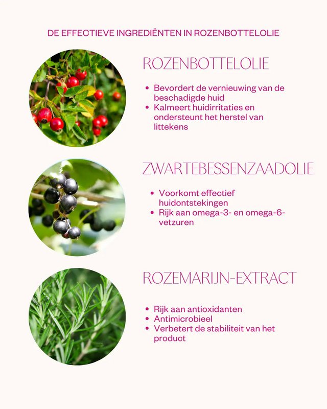 Rozenbottelolie - Intensive Treatment Oil