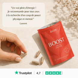 Boost Bio - Vitalität - 120 ayurvedische Kapseln