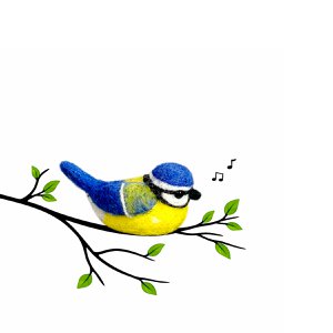 Vogelblue Meise (Pimpelmees)