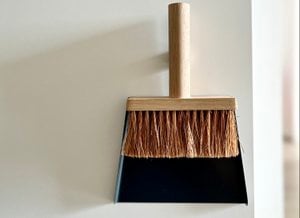 Ray - brush and dustpan