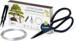 A set of 3 essential bonsai tools including steel scissors, round scissors, and aluminum wire for bonsai and plant maintenance.
