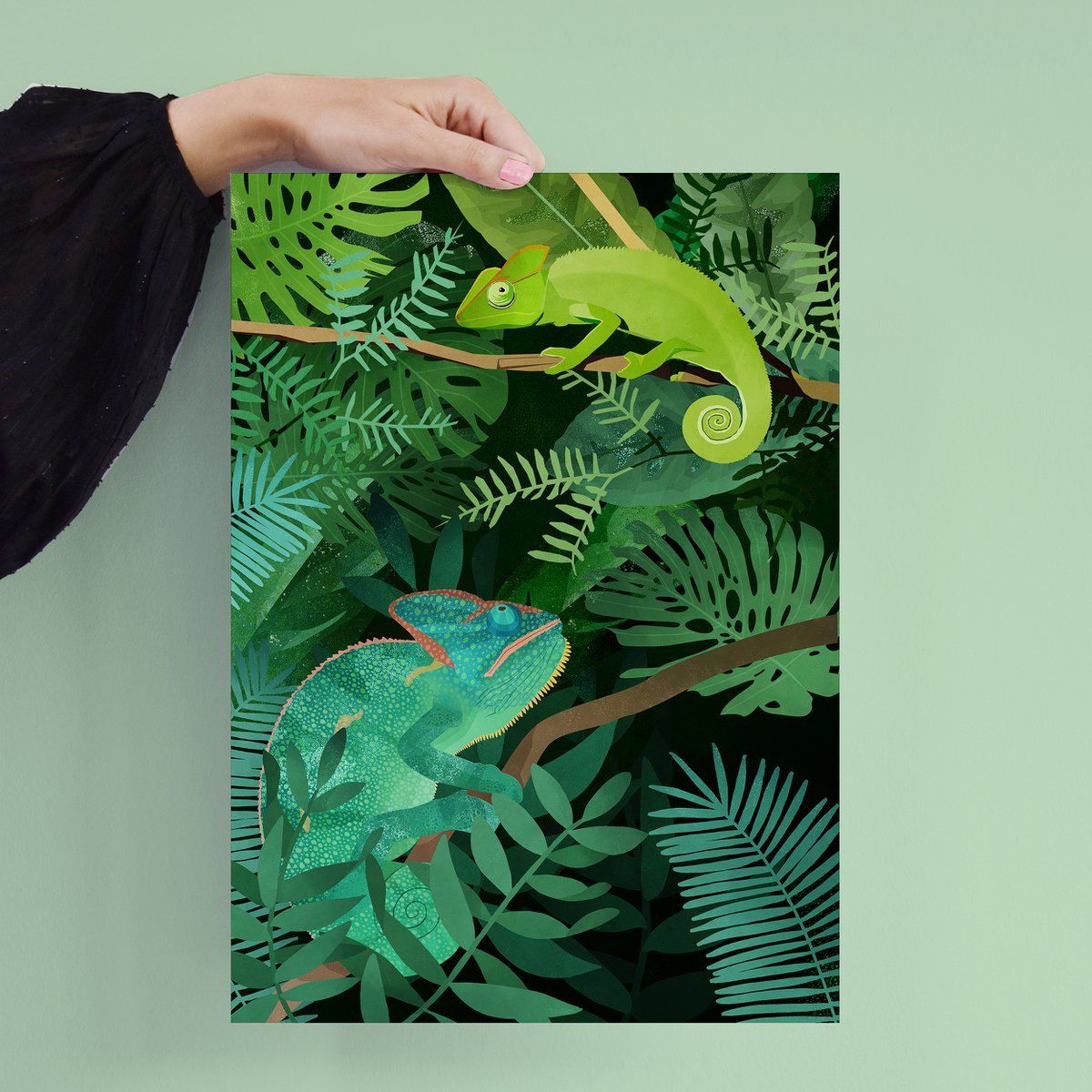 Poster - Chameleons