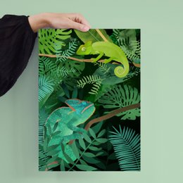 Poster - Chameleons