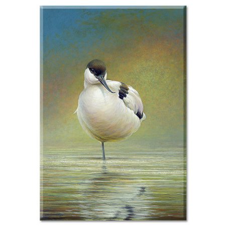 Fridge magnet - Pied avocet